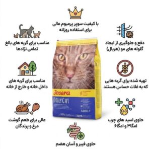 daily-cat