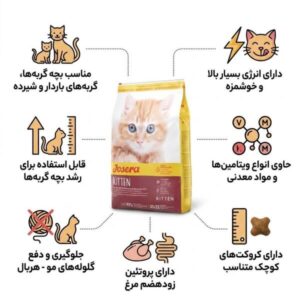 josera-kitten