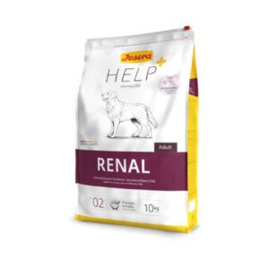 renal
