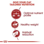 royal-canin-fit