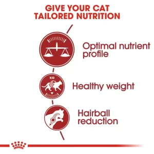 royal-canin-fit