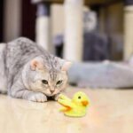 جوجه اردک شارژی پت گرویتی