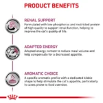 renal