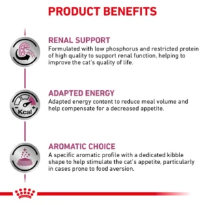 renal