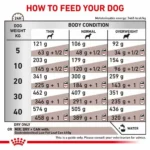 gastrointestinal-low-fat